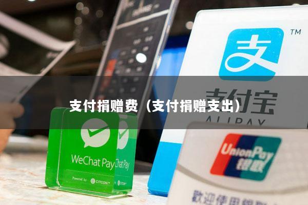 支付捐赠费(支付捐赠支出)