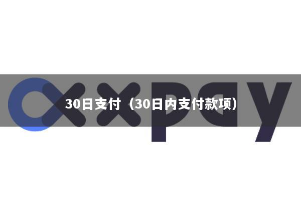 30日支付(30日内支付款项)