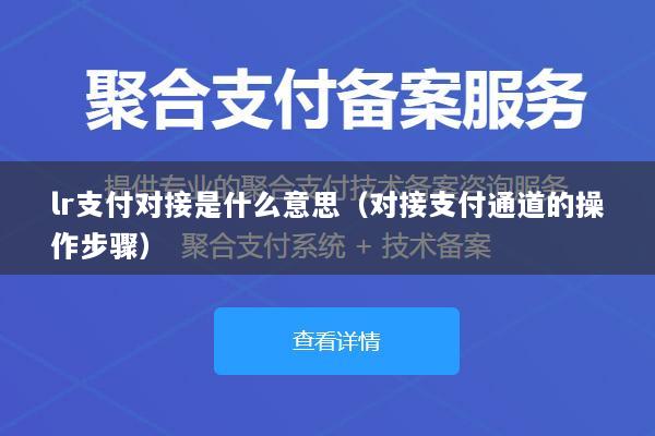 lr支付对接是什么意思(对接支付通道的操作步骤)