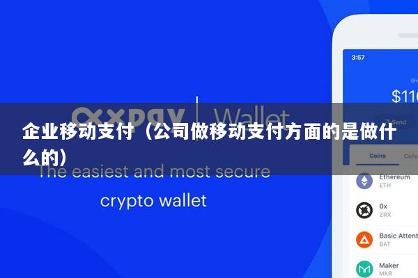 企业移动支付(公司做移动支付方面的是做什么的)