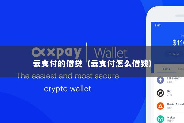 云支付的借贷(云支付怎么借钱)