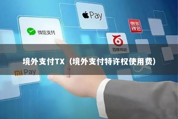 境外支付TX(境外支付特许权使用费)