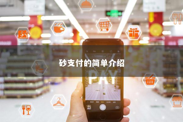 砂支付的简单介绍