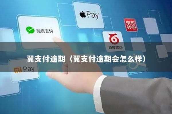 翼支付逾期(翼支付逾期会怎么样)