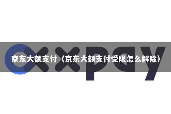 京东大额支付(京东大额支付受限怎么解除)