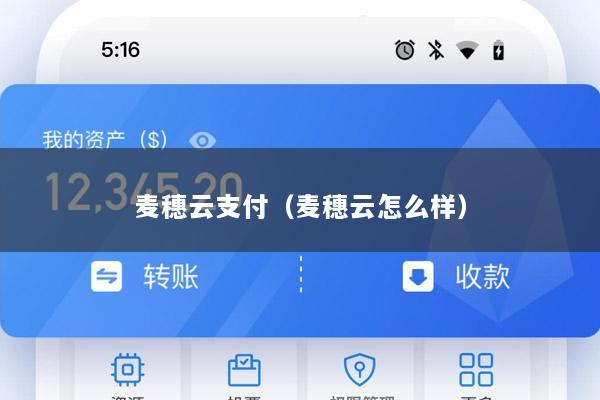 麦穗云支付(麦穗云怎么样)