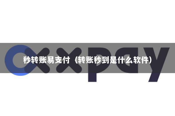 秒转账易支付(转账秒到是什么软件)