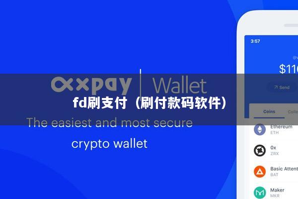 fd刷支付(刷付款码软件)