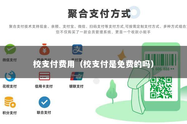 校支付费用(校支付是免费的吗)