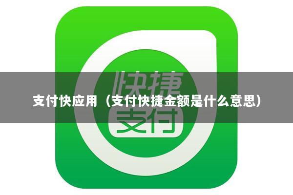 支付快应用(支付快捷金额是什么意思)