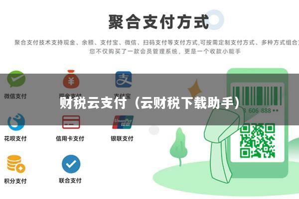 财税云支付(云财税下载助手)