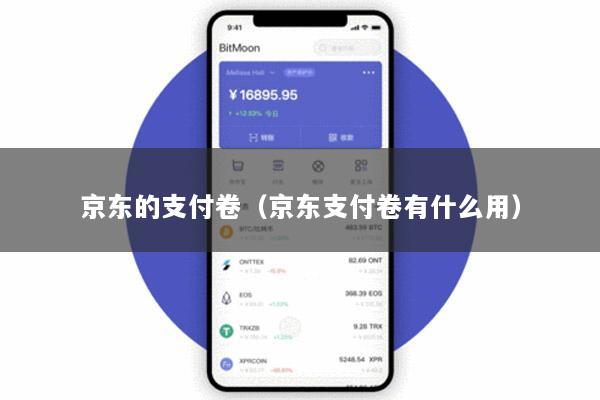 京东的支付卷(京东支付卷有什么用)