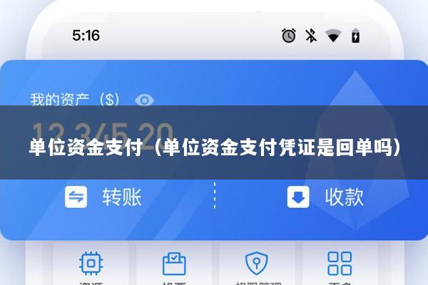 单位资金支付(单位资金支付凭证是回单吗)