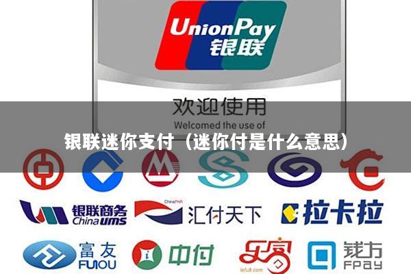 银联迷你支付(迷你付是什么意思)