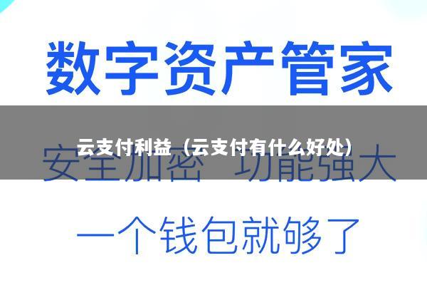 云支付利益(云支付有什么好处)