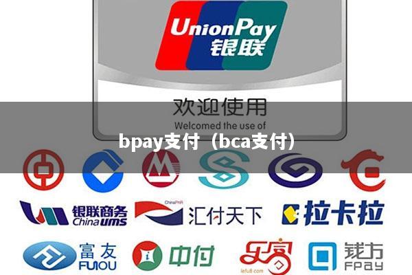 bpay支付(bca支付)