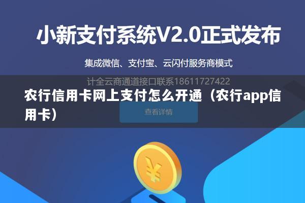 农行信用卡网上支付怎么开通(农行app信用卡)