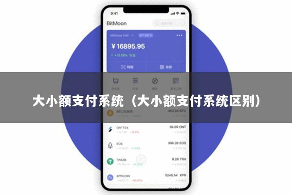 大小额支付系统(大小额支付系统区别)