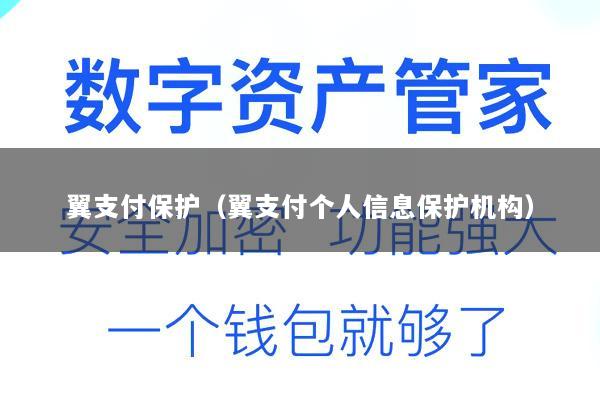 翼支付保护(翼支付个人信息保护机构)