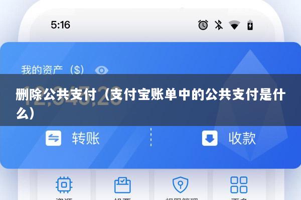 删除公共支付(支付宝账单中的公共支付是什么)